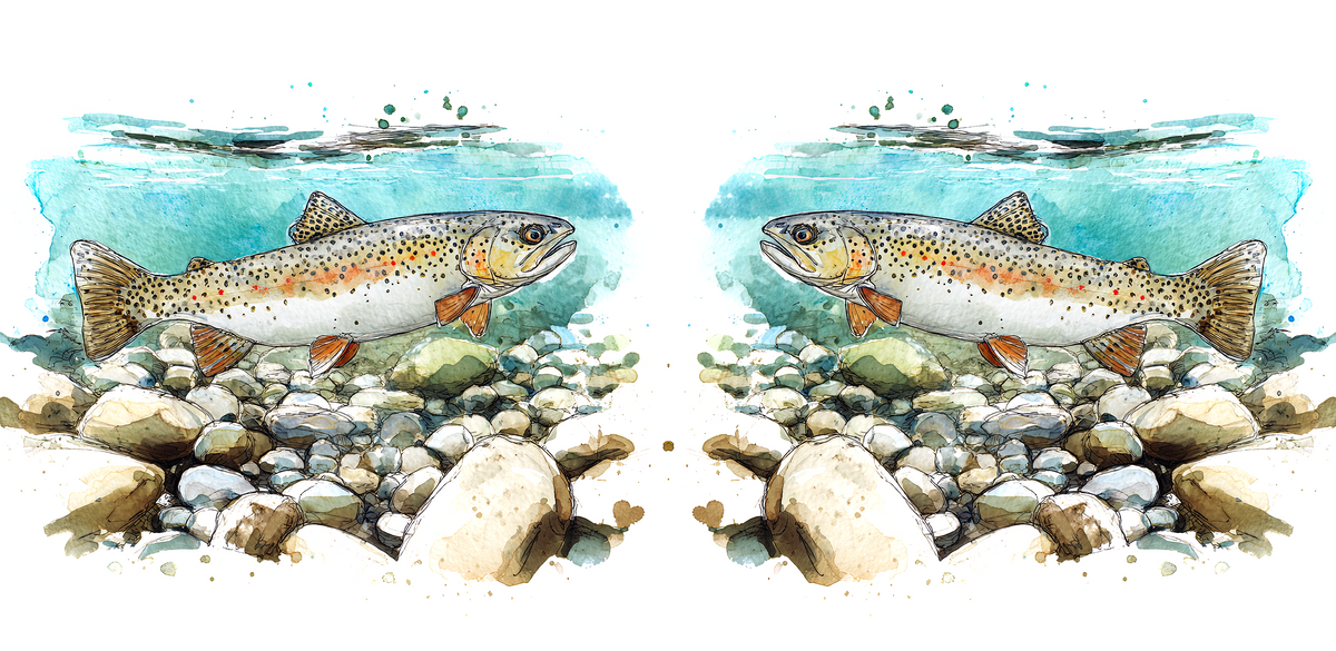 Fishing Designed Mugs