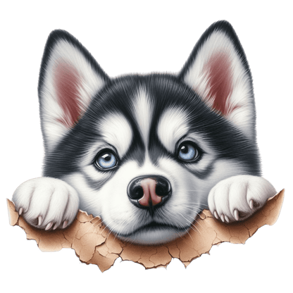 Peeking Pet Coasters- Matching Mug also available