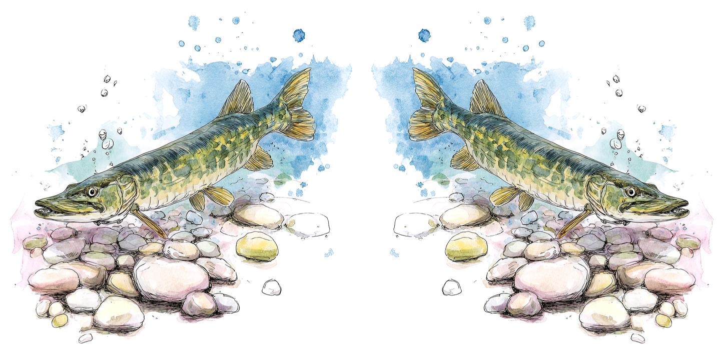 Fishing Designed Mugs